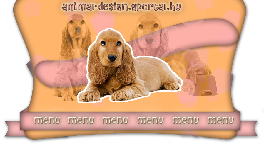 animal-design